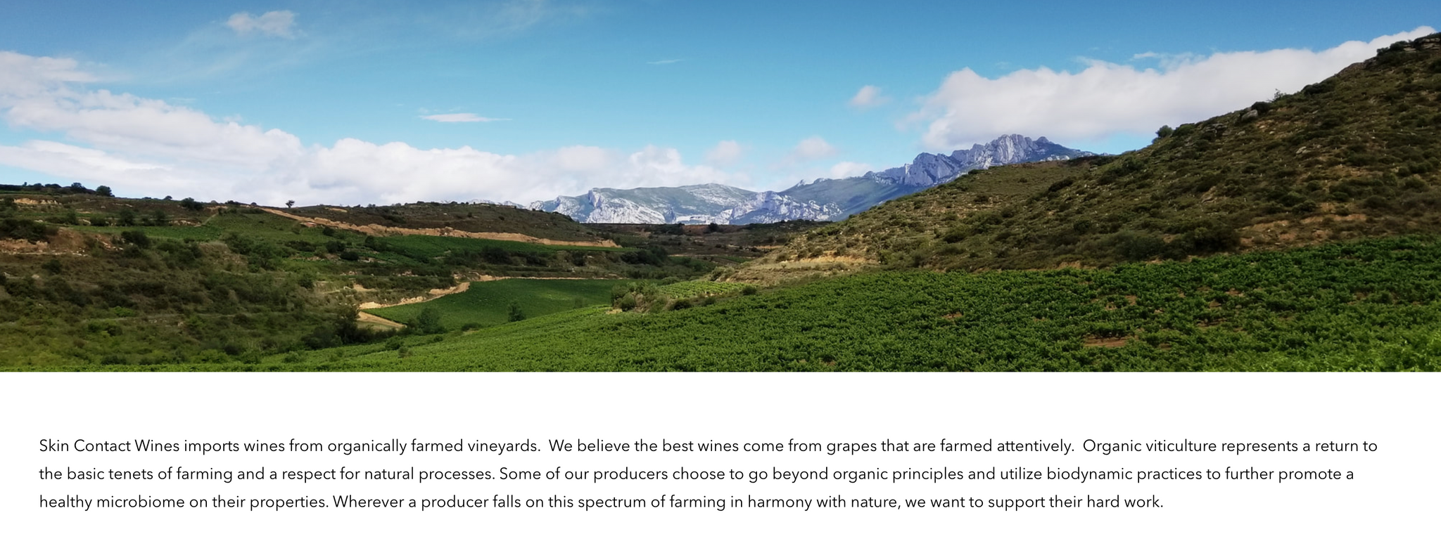 I Can't Believe It's Prosecco (!) and Two From Under the Radar Organic Winemaker Austrian Herrenhof Lamprecht, This Thursday Feb. 10 5:30- 8 PM- Free In-Store Tasting