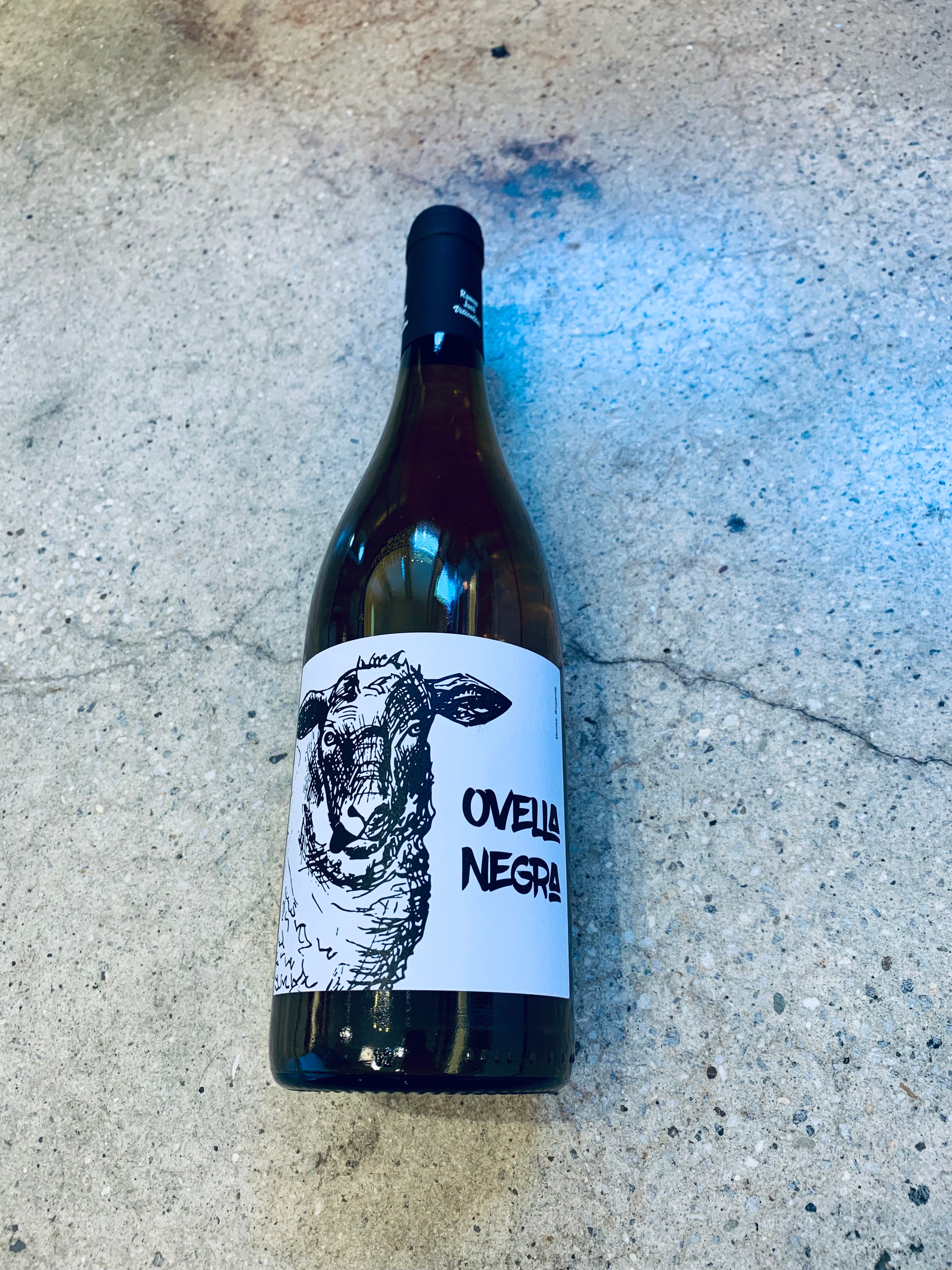 Ramon Jane - Penedes Ovella Negra 2022 750ml (11.5% ABV)