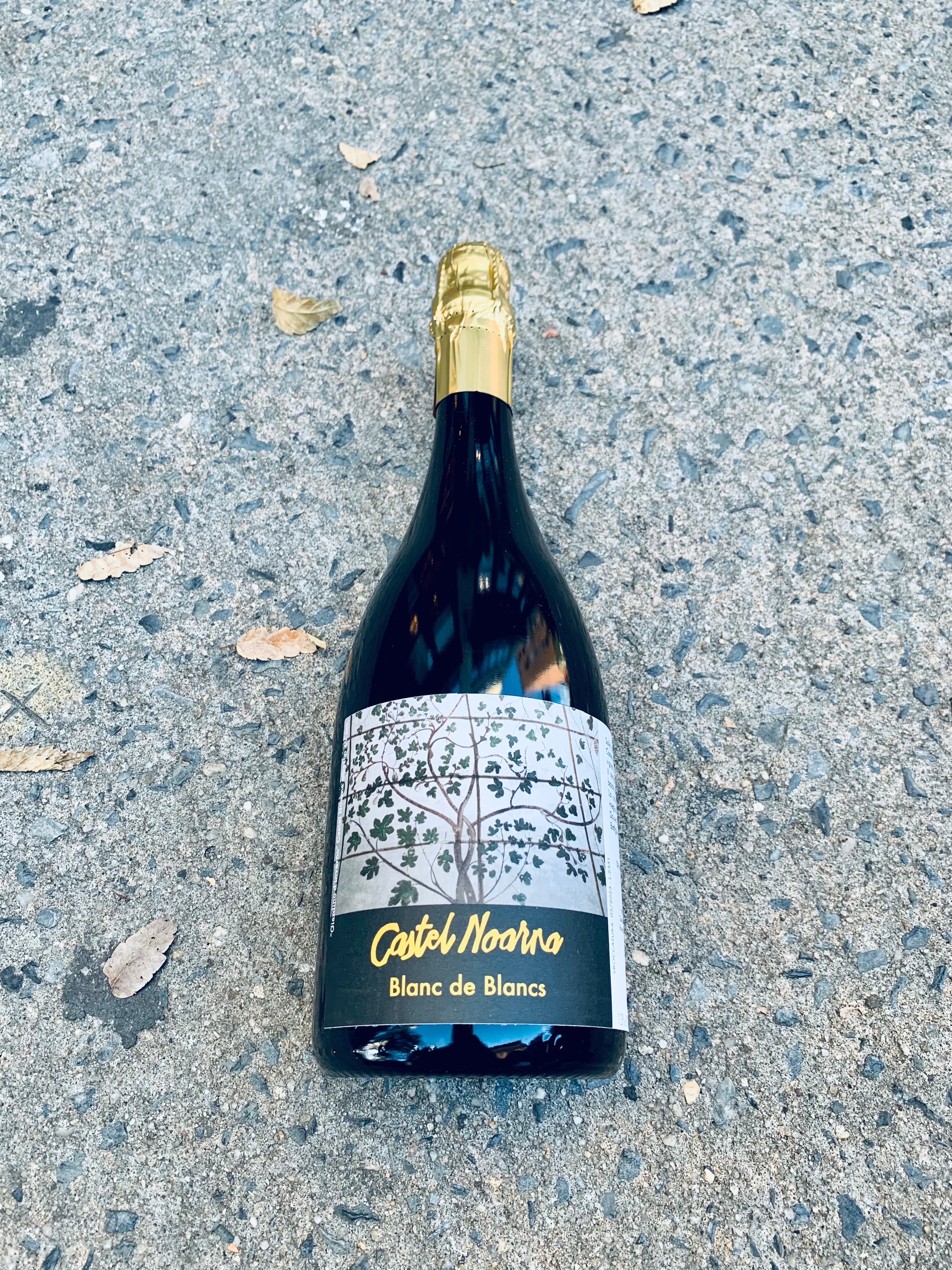 Marco Zani (Castel Noarna) - Blanc de Blancs DOC Metodo Classico Extra Brut NV 750ml (13% ABV)