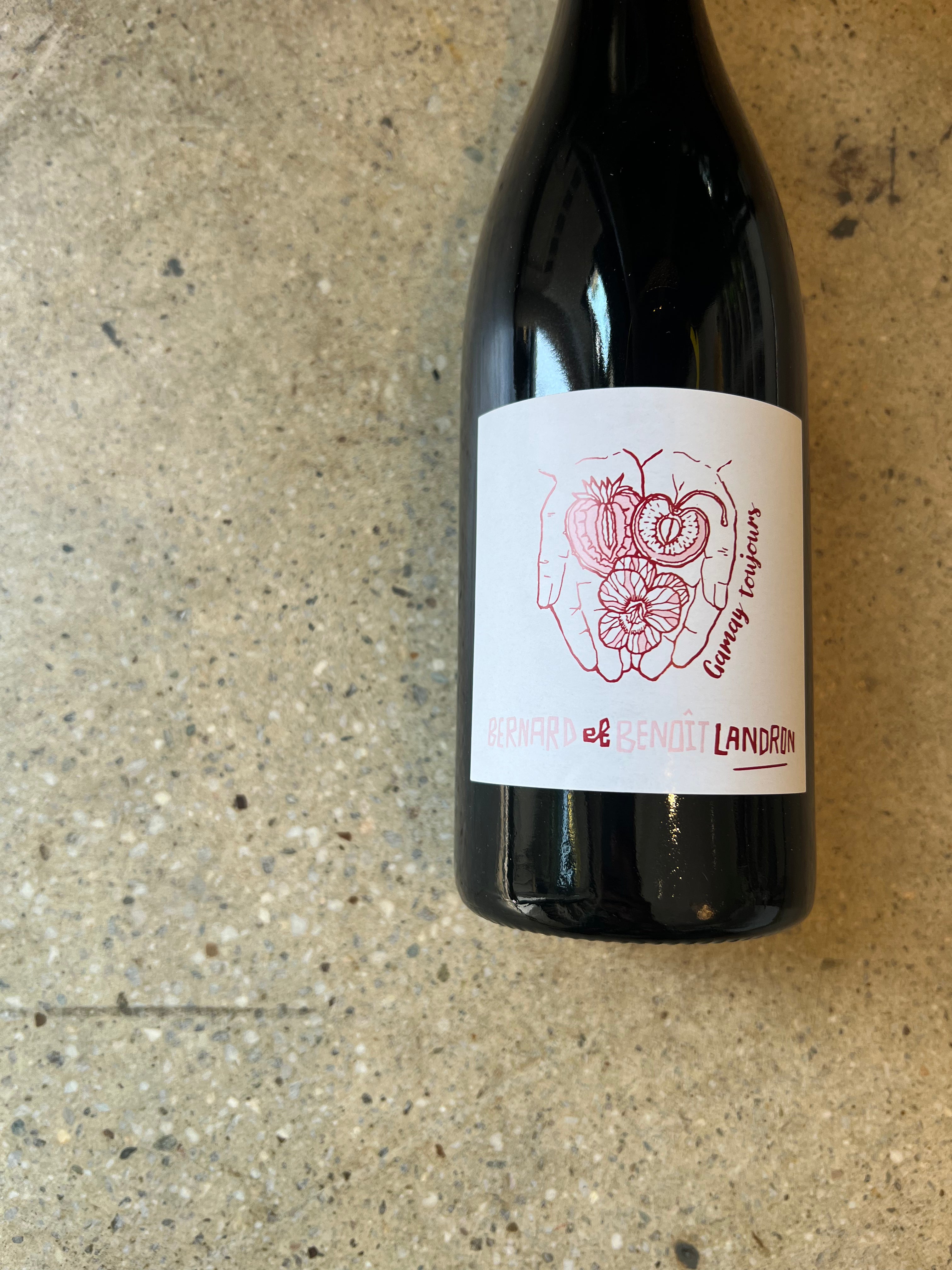 Domaine Landron Chartier - Gamay "Toujours" AOC Coteaux d'ancenis 2021 750ml (13% ABV)